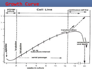 Growth Curve
 