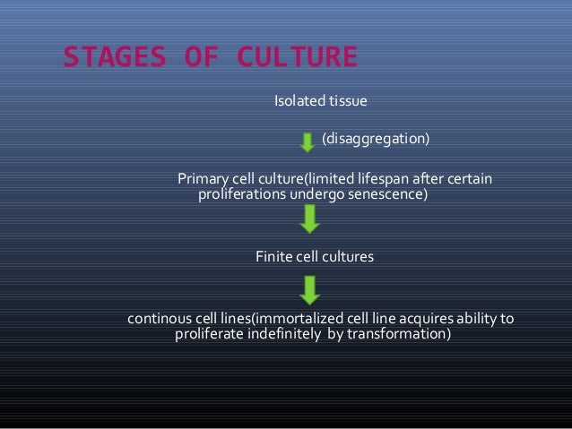 Types Of Animal Cell Lines : Cell lines - Types of animal cell lines.
