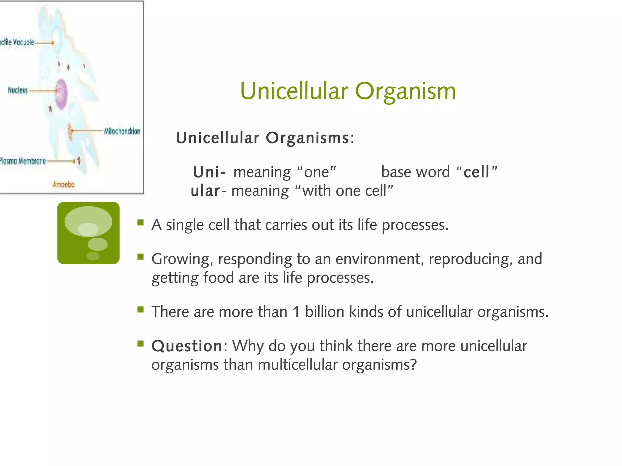Unicellular Organism
        Unicellular Organisms :

          Uni- meaning “one”        base word “cell”
          ular- meaning “with one cell”

   A single cell that carries out its life processes.

   Growing, responding to an environment, reproducing, and
    getting food are its life processes.

   There are more than 1 billion kinds of unicellular organisms.

   Question: Why do you think there are more unicellular
    organisms than multicellular organisms?
 