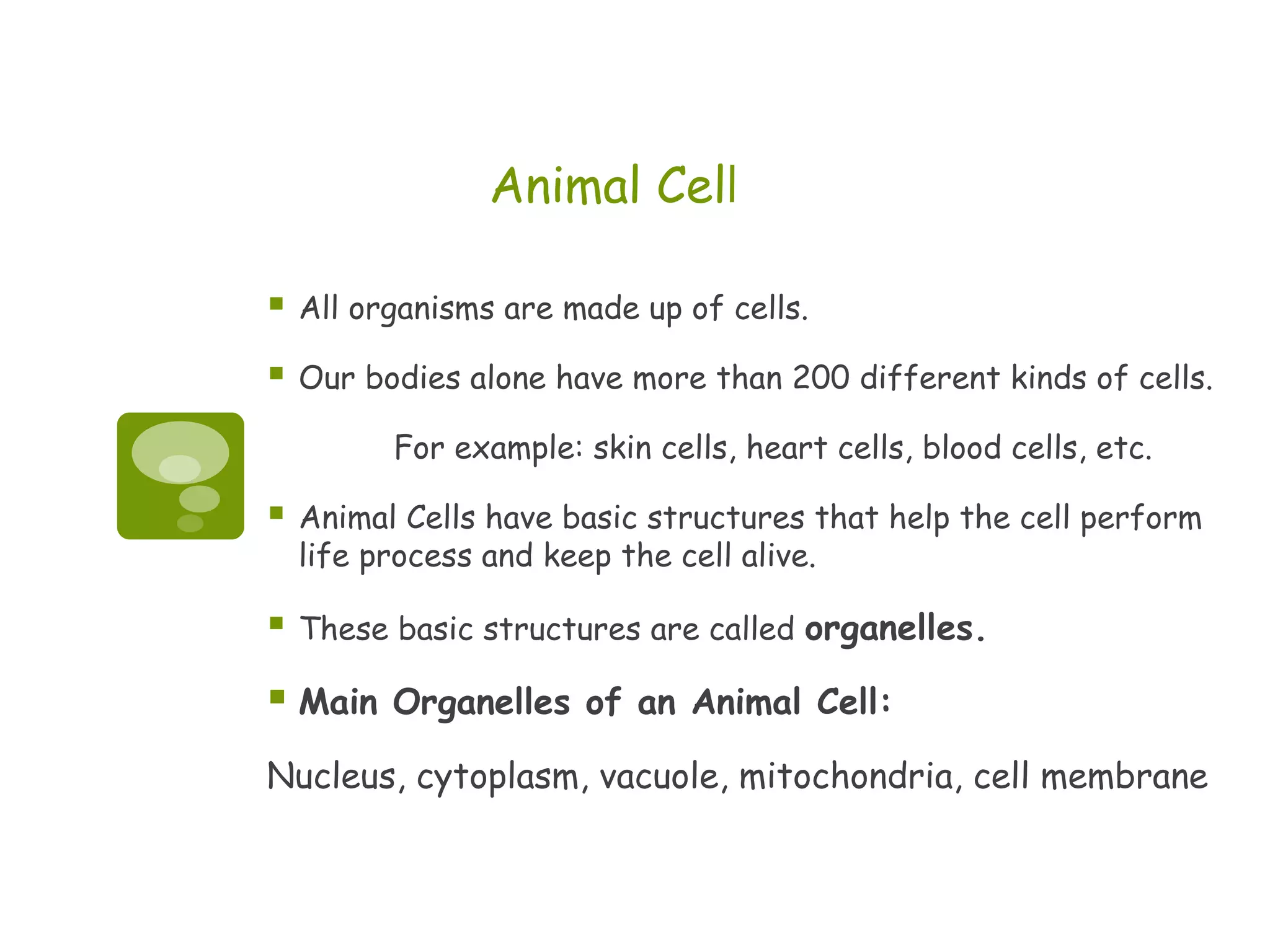 Animal Cell

   All organisms are made up of cells.

   Our bodies alone have more than 200 different kinds of cells.

          For example: skin cells, heart cells, blood cells, etc.

   Animal Cells have basic structures that help the cell perform
    life process and keep the cell alive.

   These basic structures are called organelles.

 Main    Organelles of an Animal Cell:

Nucleus, cytoplasm, vacuole, mitochondria, cell membrane
 
