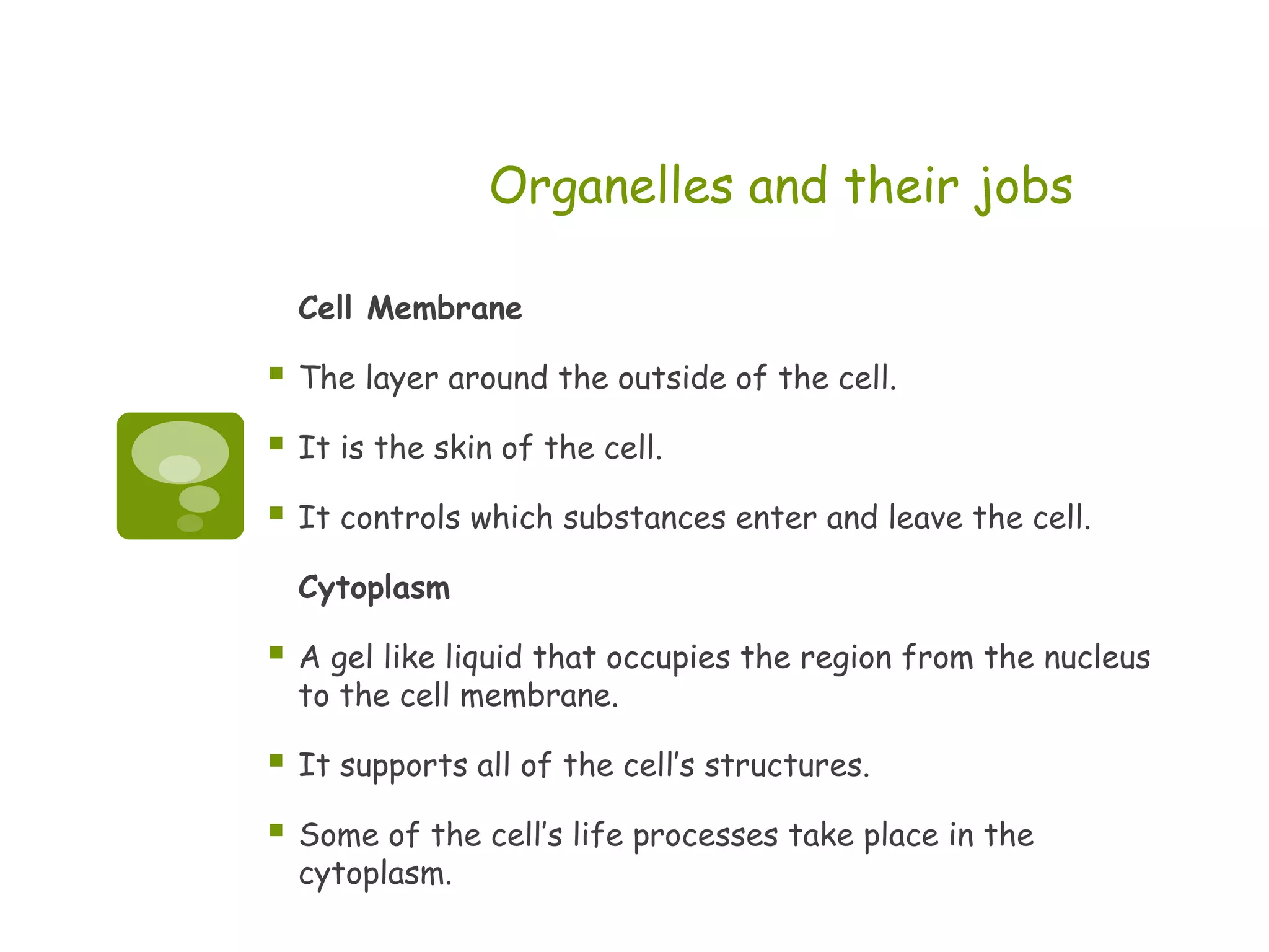 Organelles and their jobs

    Cell Membrane

   The layer around the outside of the cell.

   It is the skin of the cell.

   It controls which substances enter and leave the cell.

    Cytoplasm

   A gel like liquid that occupies the region from the nucleus
    to the cell membrane.

   It supports all of the cell’s structures.

   Some of the cell’s life processes take place in the
    cytoplasm.
 