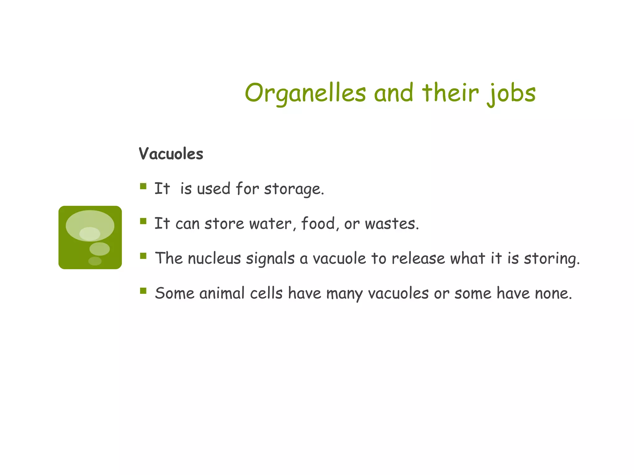 Organelles and their jobs

Vacuoles

   It is used for storage.

   It can store water, food, or wastes.

   The nucleus signals a vacuole to release what it is storing.

   Some animal cells have many vacuoles or some have none.
 