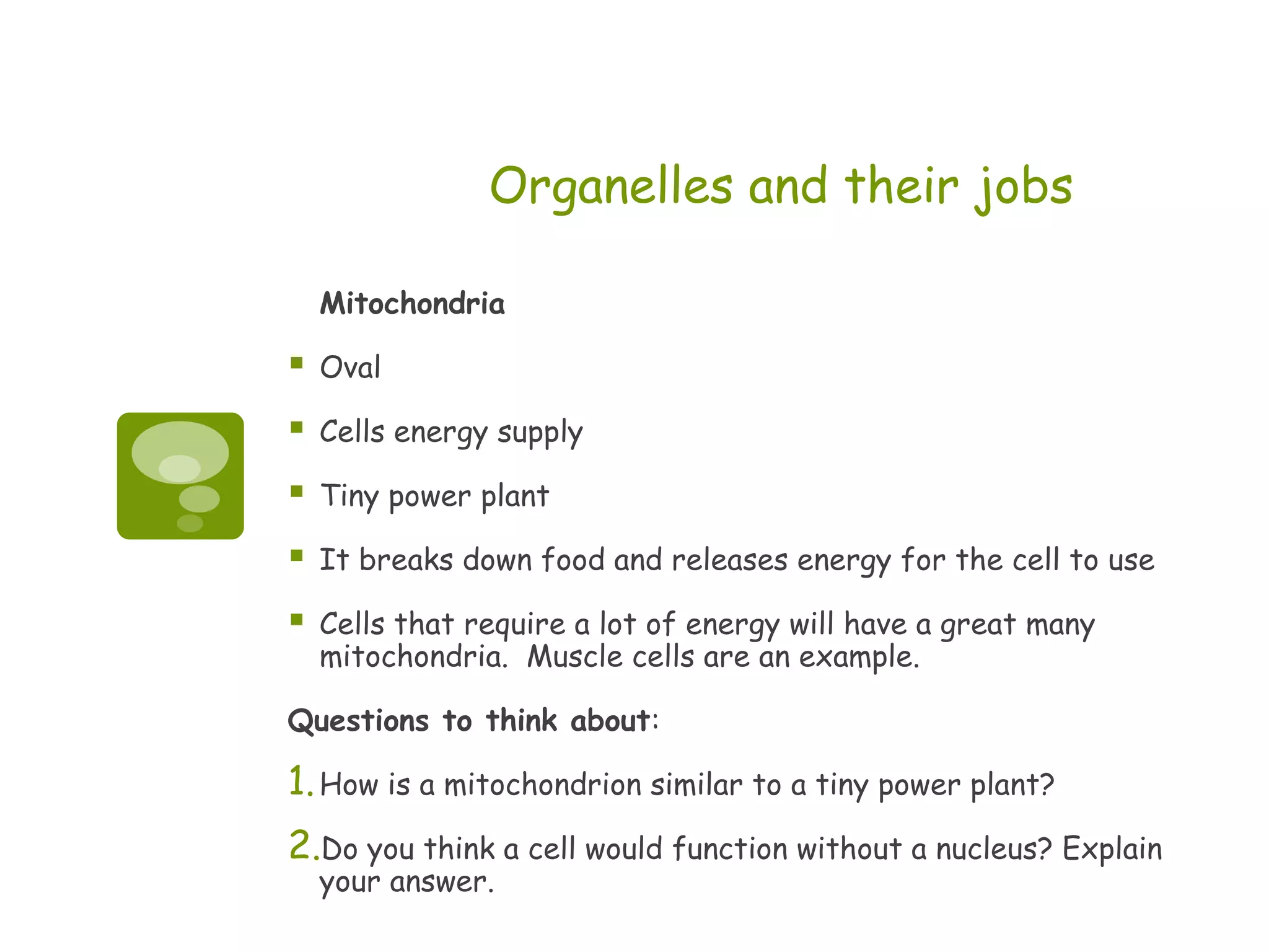 Organelles and their jobs

    Mitochondria

   Oval

   Cells energy supply

   Tiny power plant

   It breaks down food and releases energy for the cell to use

   Cells that require a lot of energy will have a great many
    mitochondria. Muscle cells are an example.

Questions to think about:

1. How is a mitochondrion similar to a tiny power plant?
2.Do you think a cell would function without a nucleus? Explain
    your answer.
 