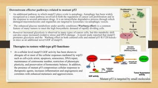 Downstream effector pathways related to mutant p53
• An additional pathway in which mutp53 plays a role is autophagy. Autophagy has been widely
recognized as a main pathway involved in both the regulation of cancer cell proliferation and in
the response to several anticancer drugs. It is an intracellular degradative process through which
damaged macromolecules and organelles are targeted to lysosomes via autophagic vesicle.
• The enhanced glucose metabolism under aerobic conditions (Warburg effect) is a common
feature of many tumors to meet the high biosynthetic demand of rapidly dividing cells.
• However increased glycolysis is observed in many types of cancer cells, but this metabolic shift
can also cause increased oxidative stress and DNA damage . A recent study reported that mutp53
promotes glycolysis and the Warburg effect in both cultured cells and mutant p53 R172H knock-
in mice as an additional novel GOF of mutp53.
Mutant p53 is targeted by small molecules.
Therapies to restore wild-type p53 functions-
• At a cellular level mutp53 GOF activity has been shown to
abrogate all or most of the cellular responses mediated by wtp53
such as cell-cycle arrest, apoptosis, senescence, DNA repair,
maintenance of centrosome number, restriction of phenotypic
plasticity, and preservation of homeostatic balance. In addition,
the presence of mutant p53 compromises cellular responses to
therapeutic agents, increases inflammation and angiogenesis and
correlates with enhanced metastasis and aggressiveness.
 