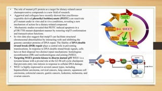 • The role of mutant p53 protein as a target for dietary-related cancer
chemopreventive compounds is a new field of research.
• Aggarwal and collegues have recently showed that cruciferous-
vegetable-derived phenethyl isothiocyanate (PEITC) can reactivate
p53 mutant under in vitro and in vivo conditions, revealing a new
mechanism of action for a dietary-related compound.
• Mechanistic studies revealed that PEITC induced apoptosis in a
p53R175H mutant-dependent manner by restoring wtp53 conformation
and transactivation functions.
• In vitro data also suggest that mutp53 can facilitate structural
chromosomal abnormalities by interacting with and inhibiting the
genome caretaker proteins of DNA repair. The fidelity of DNA double
strand break (DSB) repair plays a central role in preventing
translocations. In response to DNA double strand break signals, cells
have at their disposal two distinct repair mechanisms: homologous
recombination (HR) and nonhomologous end joining (NHEJ).
• Targeting WEE1 protein kinase to disarm mutant p53 WEE1 is a
tyrosine kinase with a pivotal role at the G2-M cell cycle checkpoint
that prevents entry into mitosis in response to cellular DNA damage.
• WEE1 is highly expressed in several cancer types, including
hepatocellular carcinoma, cervical cancers, lung cancers, squamous cell
carcinoma, colorectal cancers, gastric cancers, leukemia, melanoma, and
ovarian cancers.
 