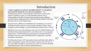 Introduction
• ‘‘master regulators of cell cycle and differentiation’’ to ‘‘peripheral
factors that lie outside the core cell cycle machinery.’’ The
retinoblastoma protein is most frequently inactivated in cancer by the
negative regulatory activity of cyclin dependent kinases.Loss of
heterozygosity at the RB-1 locus has been reported in many different
sporadic cancers, suggesting that it is directly mutated outside of the lung
and retina, but on a less frequent basis.
• In general terms, pRB has an established role in mediating a G1 arrest in
development and in response to many growth regulatory signals. Some
examples are DNA damage, or growth inhibiting cytokines such as TGF-β.
• pRB plays a key role in the permanent cell cycle exit of differentiating cells
and this has been demonstrated both in cell culture and in vivo using gene
targeted mice. The Retinoblastoma protein plays an essential function in
permanent cell cycle arrest and differentiation of adipocytes, myotubes,
osteoblasts, and neurons.
• The RB protein binds to E2F transcription factors and blocks their ability to
induce transcription of genes that are needed to advance the cell cycle. In
turn, once pRB is brought to a promoter by an E2F it can recruit chromatin
remodeling proteins such as histone methyltransferases.
 
