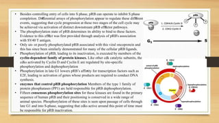 • Besides controlling entry of cells into S phase, pRB can operate to inhibit S phase
completion. Di€fferential arrays of phosphorylation appear to regulate these diff€erent
events, suggesting that cycle progression at these two stages of the cell cycle may
be achieved via activation of distinct downstream pRB eff€ector pathways.
• The phosphorylation state of pRB determines its ability to bind to these factors.
Evidence to this eff€ect was first provided through analysis of pRB's association
with SV40 T antigen.
• Only un- or poorly phosphorylated pRB associated with this viral oncoprotein and
this has since been similarly demonstrated for many of the cellular pRB ligands.
• Phosphorylation of pRB, leading to its inactivation, is executed by members of the
cyclin-dependent family of protein kinases. Like other cdk catalytic subunits, the
cdks activated by Cyclin D and Cyclin E are regulated by site-specific
phosphorylation and dephosphorylation
• Phosphorylation in late G1 lowers pRB’s affi•nity for transcription factors such as
E2F, leading to activation of genes whose products are required to conduct DNA
synthesis.
• enzymes that control pRB phosphorylation Members of the type 1 family of
protein phosphatases (PP1) arc held responsible for pRB dephosphorylation.
• Fifteen consensus phosphorylation sites for these kinases are found in the primary
sequence of human pRB and their positioning is conserved in a wide range of
animal species. Phosphorylation of these sites is seen upon passage of cells through
late G1 and into S-phase, suggesting that cdks active around this point of time must
be responsible for pRB inactivation.
 