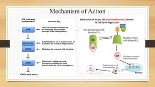 Mechanism of Action
 
