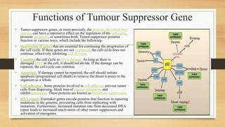 Functions of Tumour Suppressor Gene
• Tumor-suppressor genes, or more precisely, the proteins for which they
encode, can have a repressive effect on the regulation of the cell cycle,
promote apoptosis, or sometimes both. Tumor-suppressor proteins
function in various ways, which include the following-
• Repression of genes that are essential for continuing the progression of
the cell cycle. If these genes are not expressed, the cell cycle does not
continue, effectively inhibiting cell division.
• Coupling the cell cycle to DNA damage. As long as there is
damaged DNA in the cell, it should not divide. If the damage can be
repaired, the cell cycle can continue.
• Apoptosis. If damage cannot be repaired, the cell should initiate
apoptosis (programmed cell death) to remove the threat it poses to the
organism as a whole.
• Cell adhesion. Some proteins involved in cell adhesion prevent tumor
cells from dispersing, block loss of contact inhibition, and
inhibit metastasis. These proteins are known as metastasis suppressors.
• DNA repair. Caretaker genes encode proteins that function in repairing
mutations in the genome, preventing cells from replicating with
mutations. Furthermore, increased mutation rate from decreased DNA
repair leads to increased inactivation of other tumor suppressors and
activation of oncogenes.
 