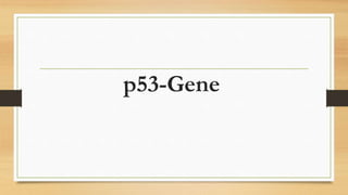 p53-Gene
 