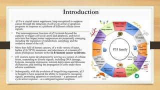 Introduction
• p53 is a crucial tumor suppressor, long-recognized to suppress
cancer through the induction of cell-cycle-arrest or apoptosis
programs in response to a plethora of different cellular stress
signals.
• The tumorsuppressor function of p53 extends beyond the
capacity to trigger cell-cycle arrest and apoptosis, and novel
activities that impact tumor suppression are perpetually emerging,
including the regulation of metabolism, autophagy and the
oxidative status of the cell.
• More than half of human cancers, of a wide variety of types,
harbor p53 (TP53) mutations, and inheritance of a mutant p53
allele predisposes humans to the Li-Fraumeni cancer syndrome.
• p53 restricts tumor development by serving as a sensor of cellular
stress, responding to diverse signals, including DNA damage,
hypoxia, oncogene expression, nutrient deprivation and ribosome
dysfunction, and limiting the propagation of cells under these
adverse conditions.
• Subsequently, with the evolution of longerliving organisms, p53
is thought to have acquired the ability to respond to oncogenic
signals, promoting apoptosis or senescence – a permanent cell-
cycle-arrest response – as a safeguard against neoplasia.
 