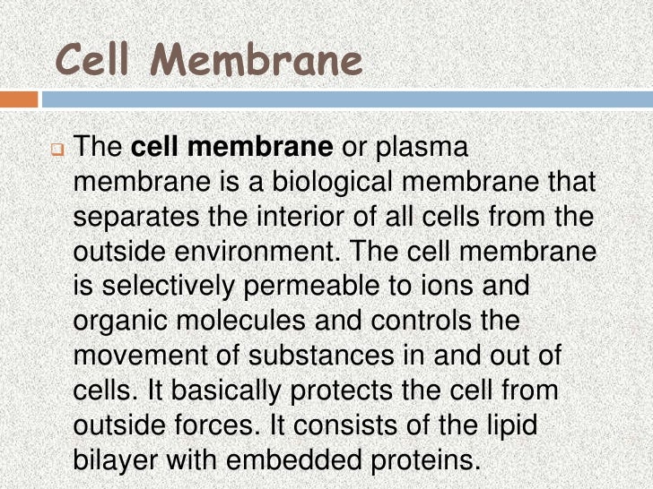 Animal Cell Story Project / A Cell Is Like A Shopping Mall Animal Cell : This science project animal cell model with labels helps students to learn about all parts of animal cell in detail.