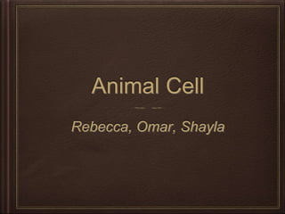 Animal Cell 
Rebecca, Omar, Shayla 
 