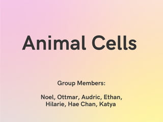 Animal Cells
Group Members:
Noel, Ottmar, Audric, Ethan,
Hilarie, Hae Chan, Katya
 