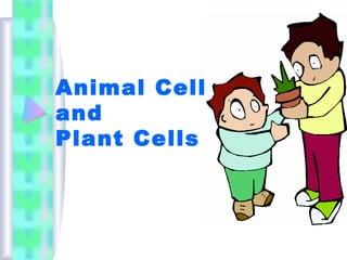 Animal Cells
and
Plant Cells

 