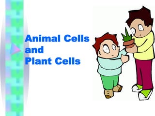 Animal Cells
and
Plant Cells
 