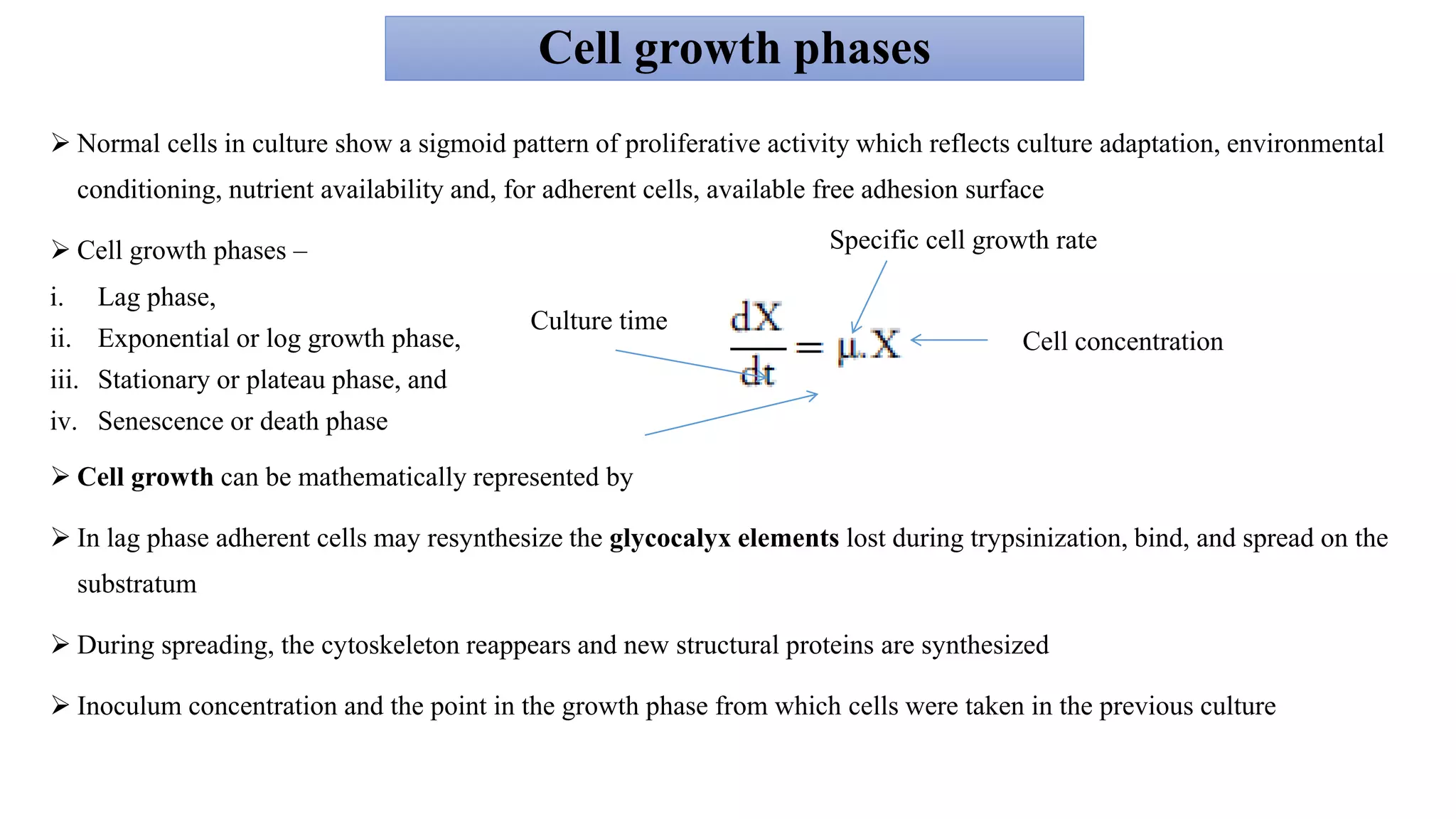 Cell growth phases
 Normal cells in culture show a sigmoid pattern of proliferative activity which reflects culture adaptation, environmental
conditioning, nutrient availability and, for adherent cells, available free adhesion surface
 Cell growth phases –
i. Lag phase,
ii. Exponential or log growth phase,
iii. Stationary or plateau phase, and
iv. Senescence or death phase
 Cell growth can be mathematically represented by
 In lag phase adherent cells may resynthesize the glycocalyx elements lost during trypsinization, bind, and spread on the
substratum
 During spreading, the cytoskeleton reappears and new structural proteins are synthesized
 Inoculum concentration and the point in the growth phase from which cells were taken in the previous culture
Specific cell growth rate
Cell concentration
Culture time
 