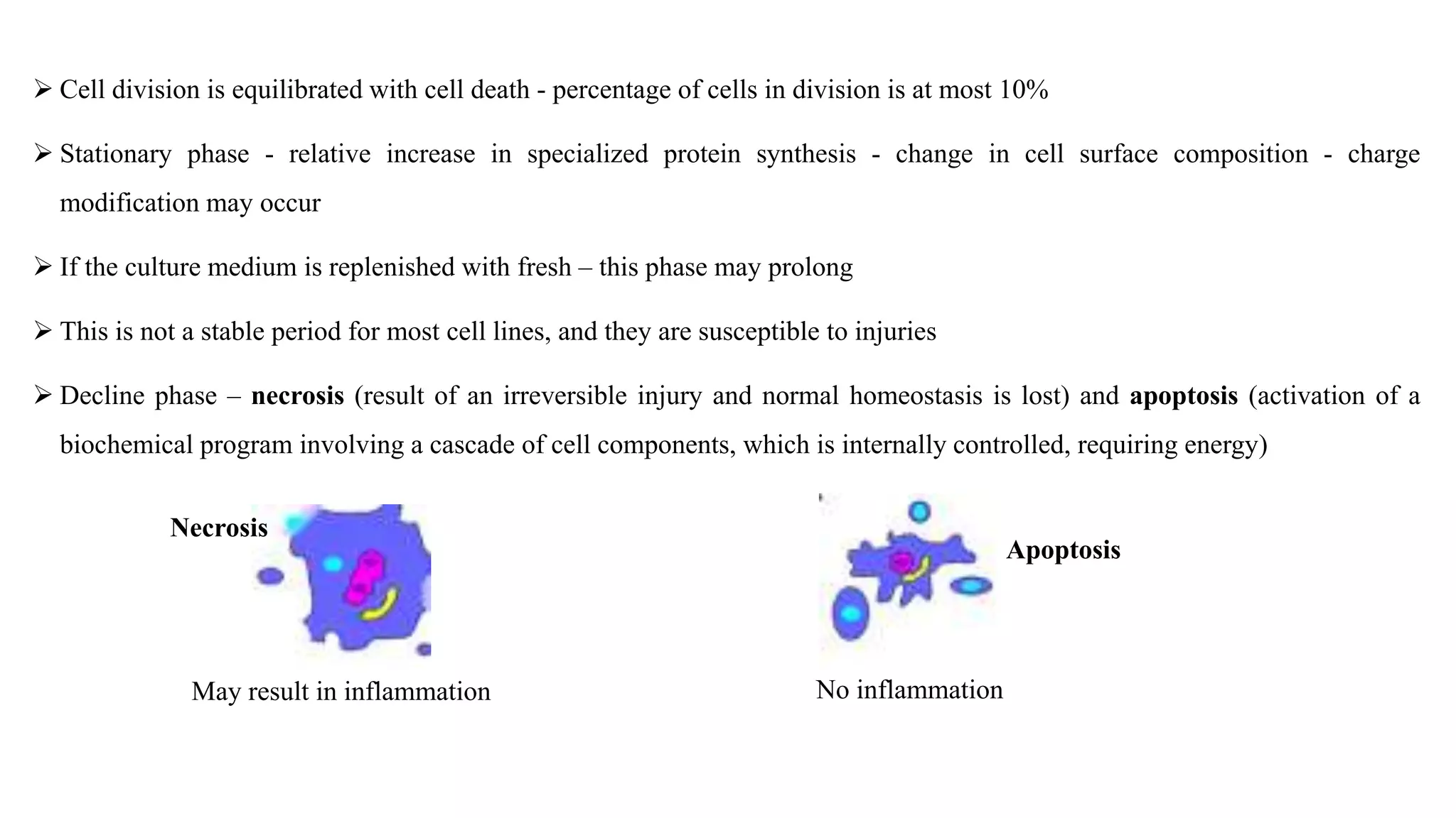  Cell division is equilibrated with cell death - percentage of cells in division is at most 10%
 Stationary phase - relative increase in specialized protein synthesis - change in cell surface composition - charge
modification may occur
 If the culture medium is replenished with fresh – this phase may prolong
 This is not a stable period for most cell lines, and they are susceptible to injuries
 Decline phase – necrosis (result of an irreversible injury and normal homeostasis is lost) and apoptosis (activation of a
biochemical program involving a cascade of cell components, which is internally controlled, requiring energy)
Necrosis
Apoptosis
May result in inflammation No inflammation
 