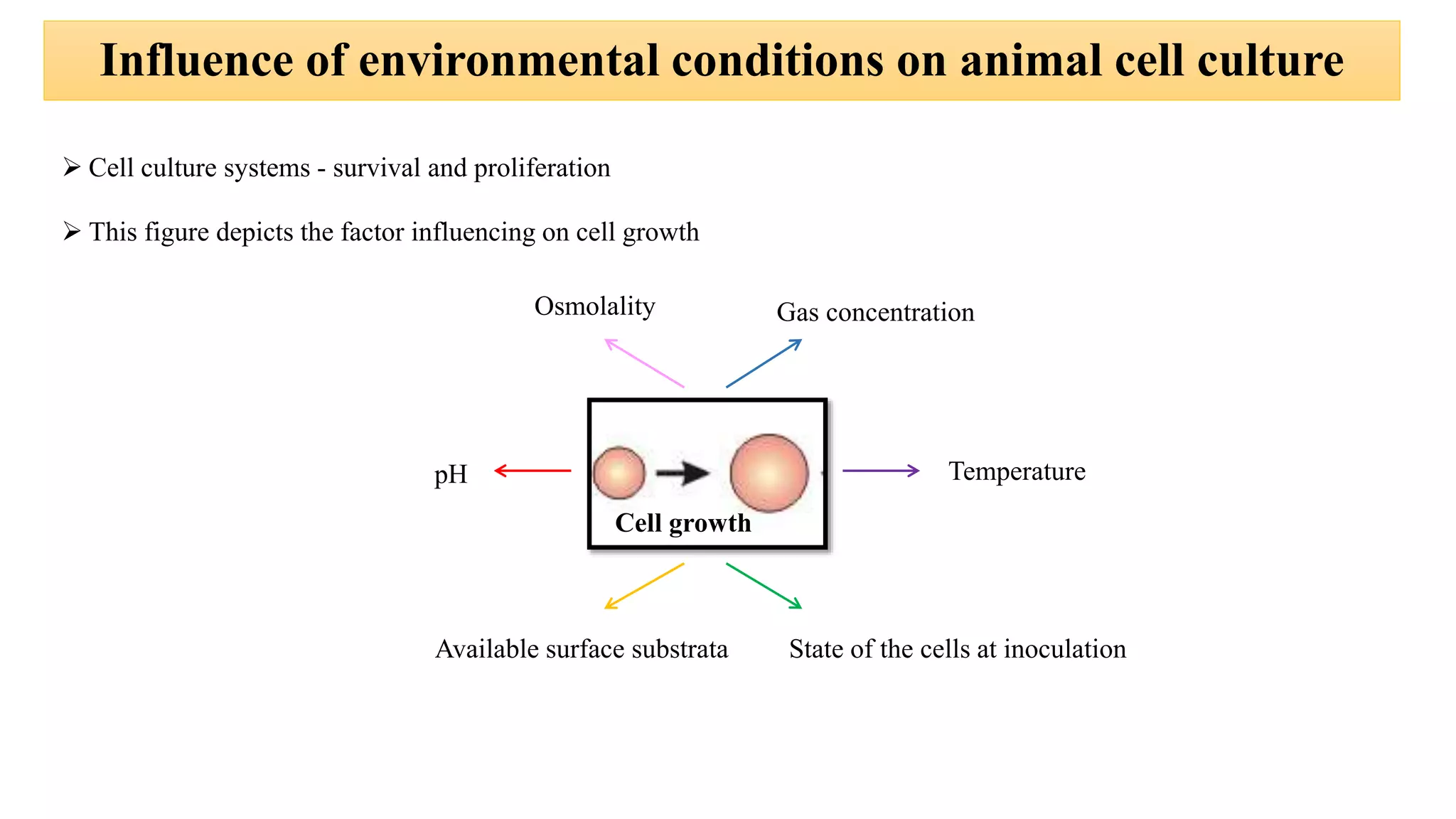 Influence of environmental conditions on animal cell culture
 Cell culture systems - survival and proliferation
 This figure depicts the factor influencing on cell growth
Cell growth
pH Temperature
Osmolality Gas concentration
Available surface substrata State of the cells at inoculation
 