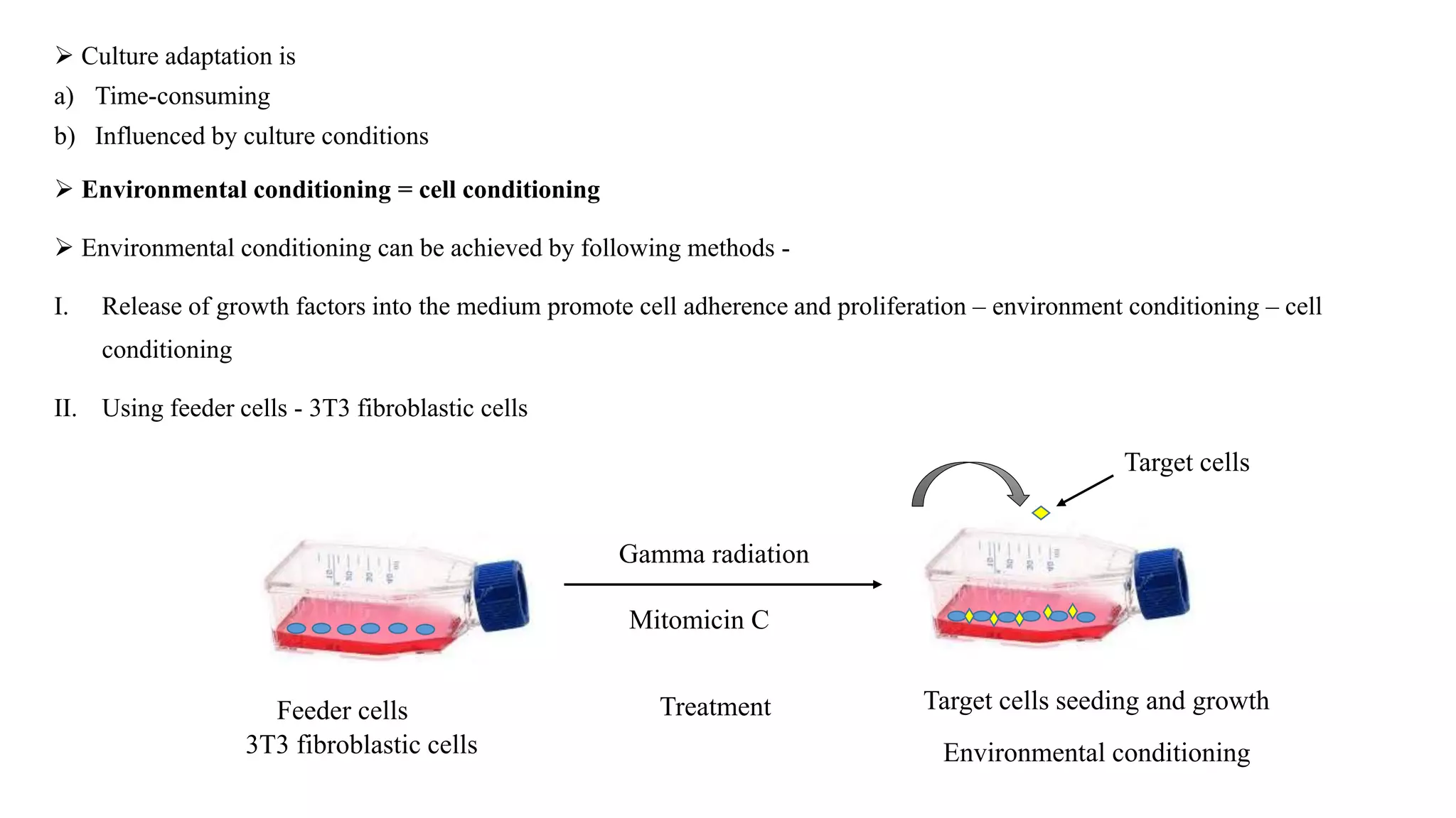  Culture adaptation is
a) Time-consuming
b) Influenced by culture conditions
 Environmental conditioning = cell conditioning
 Environmental conditioning can be achieved by following methods -
I. Release of growth factors into the medium promote cell adherence and proliferation – environment conditioning – cell
conditioning
II. Using feeder cells - 3T3 fibroblastic cells
Gamma radiation
Mitomicin C
Feeder cells Target cells seeding and growthTreatment
Target cells
Environmental conditioning3T3 fibroblastic cells
 
