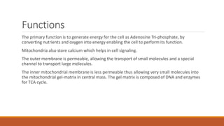 Functions
The primary function is to generate energy for the cell as Adenosine Tri-phosphate, by
converting nutrients and oxygen into energy enabling the cell to perform its function.
Mitochondria also store calcium which helps in cell signaling.
The outer membrane is permeable, allowing the transport of small molecules and a special
channel to transport large molecules.
The inner mitochondrial membrane is less permeable thus allowing very small molecules into
the mitochondrial gel-matrix in central mass. The gel matrix is composed of DNA and enzymes
for TCA cycle.
 
