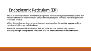 Endoplasmic Reticulum (ER)
This is a continuous folded membranous organelle found in the cytoplasm made up of a thin
network of flattened interconnected compartments (sacs) that connects from the cytoplasm
to the cell nucleus.
Within its membranes, there are membranous spaces called the cristae spaces and the
membrane folding are called cristae.
There are two types of ER based on their structure and the function they perform
including Rough Endoplasmic reticulum and the Smooth endoplasmic reticulum.
 
