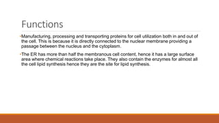 Functions
•Manufacturing, processing and transporting proteins for cell utilization both in and out of
the cell. This is because it is directly connected to the nuclear membrane providing a
passage between the nucleus and the cytoplasm.
•The ER has more than half the membranous cell content, hence it has a large surface
area where chemical reactions take place. They also contain the enzymes for almost all
the cell lipid synthesis hence they are the site for lipid synthesis.
 