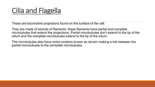 Cilia and Flagella
These are locomotive projections found on the surface of the cell.
They are made of strands of filaments. these filaments have partial and complete
microtubules that extend the projections. Partial microtubules don’t extend to the tip of the
cilium and the complete microtubules extend to the tip of the cilium.
The microtubules also have motor proteins known as dynein making a link between the
partial microtubules to the complete microtubules.
 