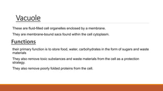 Vacuole
These are fluid-filled cell organelles enclosed by a membrane.
They are membrane-bound sacs found within the cell cytoplasm.
Functions
their primary function is to store food, water, carbohydrates in the form of sugars and waste
materials
They also remove toxic substances and waste materials from the cell as a protection
strategy.
They also remove poorly folded proteins from the cell.
 