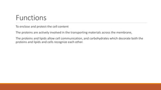 Functions
To enclose and protect the cell content
The proteins are actively involved in the transporting materials across the membrane,
The proteins and lipids allow cell communication, and carbohydrates which decorate both the
proteins and lipids and cells recognize each other.
 