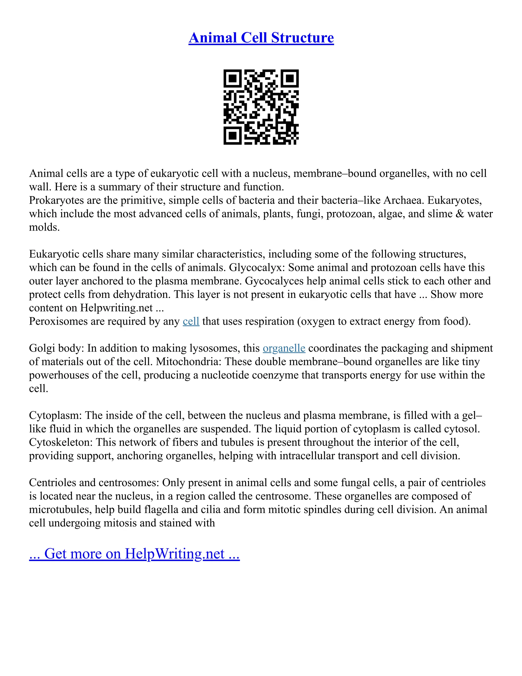 Animal Cell Structure | PDF
