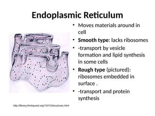 animal cell structure and function of cells | PPTX