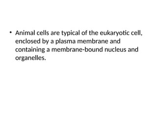 animal cell structure and function of cells | PPTX