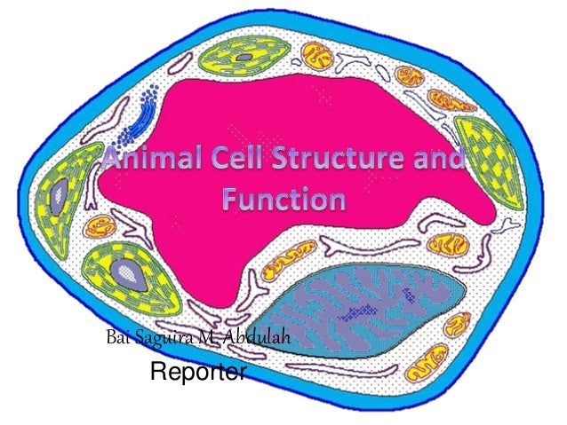 Animal Cell Structure And Function Copy