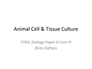 Animal Cell & Tissue Culture
TYBSc Zoology Paper III Sem VI
Biren Daftary
 