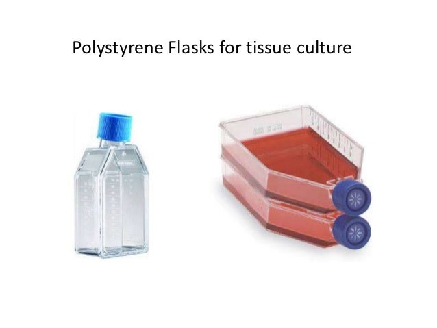 Animal cell & tissue culture
