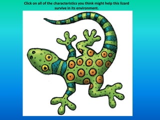 Click on all of the characteristics you think might help this lizard
                     survive in its environment.
 