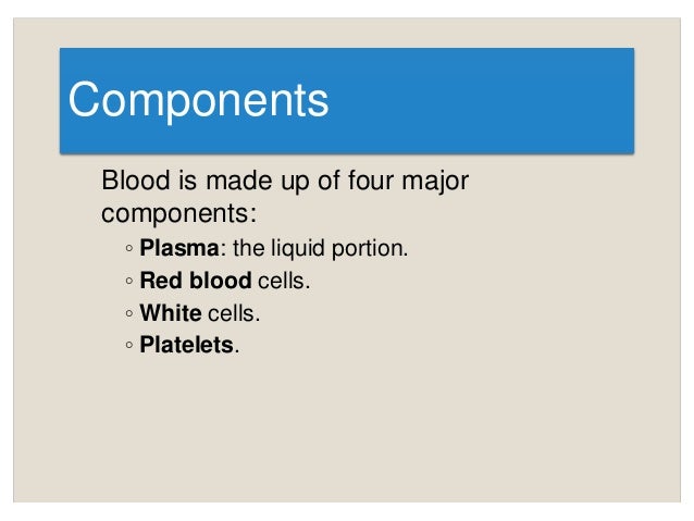 Animal circulatory system