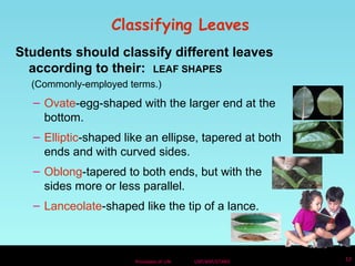 Classifying Leaves 
Students should classify different leaves 
according to their: LEAF SHAPES 
(Commonly-employed terms.) 
– Ovate-egg-shaped with the larger end at the 
bottom. 
– Elliptic-shaped like an ellipse, tapered at both 
ends and with curved sides. 
– Oblong-tapered to both ends, but with the 
sides more or less parallel. 
– Lanceolate-shaped like the tip of a lance. 
Processes of Life USF/NSF/STARS 12 
 