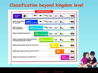 Classification beyond kingdom level 
Processes of Life USF/NSF/STARS 3 
 
