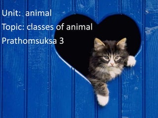 Unit: animal
Topic: classes of animal
Prathomsuksa 3
 