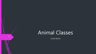 Animal Classes
Cimia Shock
1
 