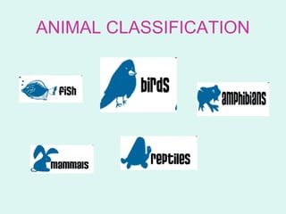 ANIMAL CLASSIFICATION
 