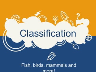 Classification
Fish, birds, mammals and
 