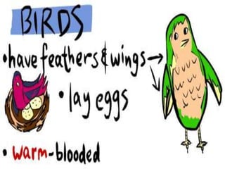 Animal Classification G1 Life Science | PPTX