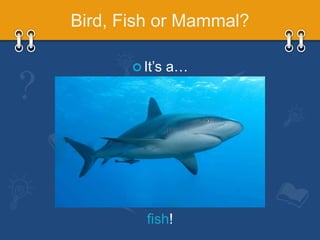 Animal Classification G1 Life Science | PPTX