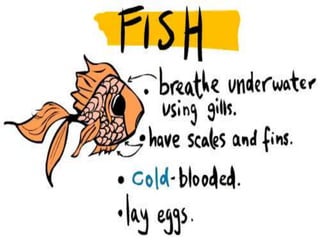 Animal Classification G1 Life Science | PPTX