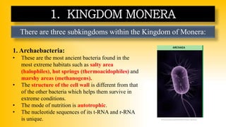 There are three subkingdoms within the Kingdom of Monera:
1. KINGDOM MONERA
1. Archaebacteria:
• These are the most ancient bacteria found in the
most extreme habitats such as salty area
(halophiles), hot springs (thermoacidophiles) and
marshy areas (methanogens).
• The structure of the cell wall is different from that
of the other bacteria which helps them survive in
extreme conditions.
• The mode of nutrition is autotrophic.
• The nucleotide sequences of its t-RNA and r-RNA
is unique. https://www.careerpower.in/blog/wp-content/uploads/sites/2/2023/08/25151427/Classifications-of-Kingdom-Monera.png
 