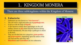 There are three subkingdoms within the Kingdom of Monera:
1. KINGDOM MONERA
2. Eubacteria:
• Eubacteria are also known as “true bacteria”.
• The cell wall is rigid and made up of peptidoglycans.
• It moves with the help of flagella.
• A few bacteria contain short appendages on the cell
surface, known as pili which help the bacteria during
sexual reproduction. Pili also helps a pathogen to attach
to the host.
• They are divided into two categories; gram-positive
and gram-negative, depending upon the nature of the
cell wall and the stain they take.
• Rhizobium and Clostridium are two eubacteria.
https://www.careerpower.in/blog/wp-content/uploads/sites/2/2023/08/25151427/Classifications-of-Kingdom-Monera.png
 