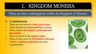 There are three subkingdoms within the Kingdom of Monera:
1. KINGDOM MONERA
3. Cyanobacteria
• These are also known as blue-green algae.
• These bacteria are photosynthetic in nature.
• They contain chlorophyll, carotenoids and
phycobilins.
• They are found in the aquatic region.
• Some of these even fix atmospheric nitrogen.
• Nostoc, Anabaena, Spirulina are some
cyanobacteria.
https://www.careerpower.in/blog/wp-content/uploads/sites/2/2023/08/25151427/Classifications-of-Kingdom-Monera.png
 